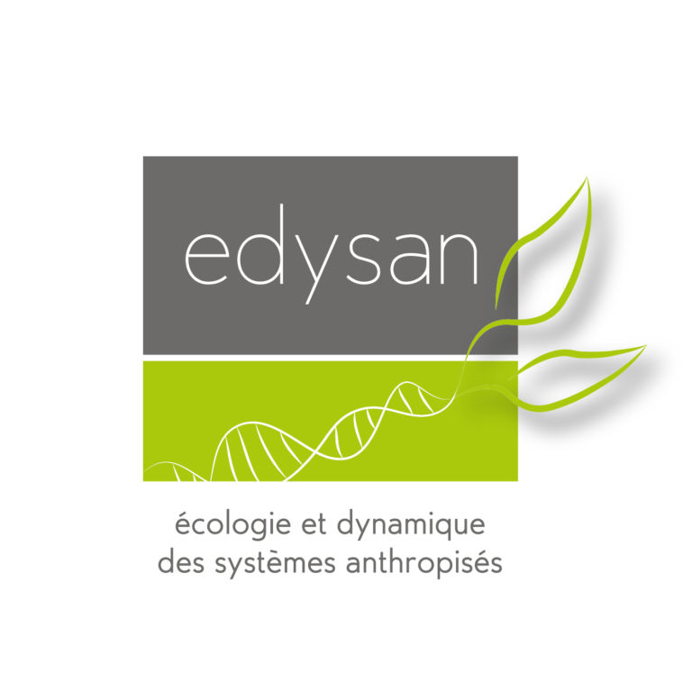 Logo EDYSAN